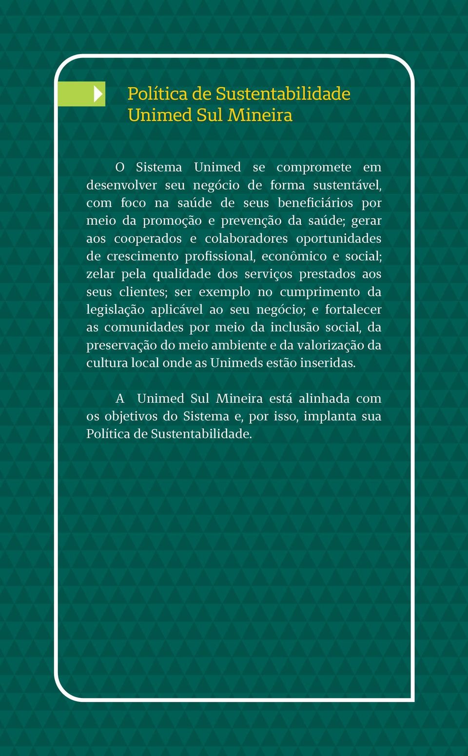 seus clientes; ser exemplo no cumprimento da legislação aplicável ao seu negócio; e fortalecer as comunidades por meio da inclusão social, da preservação do meio ambiente e da