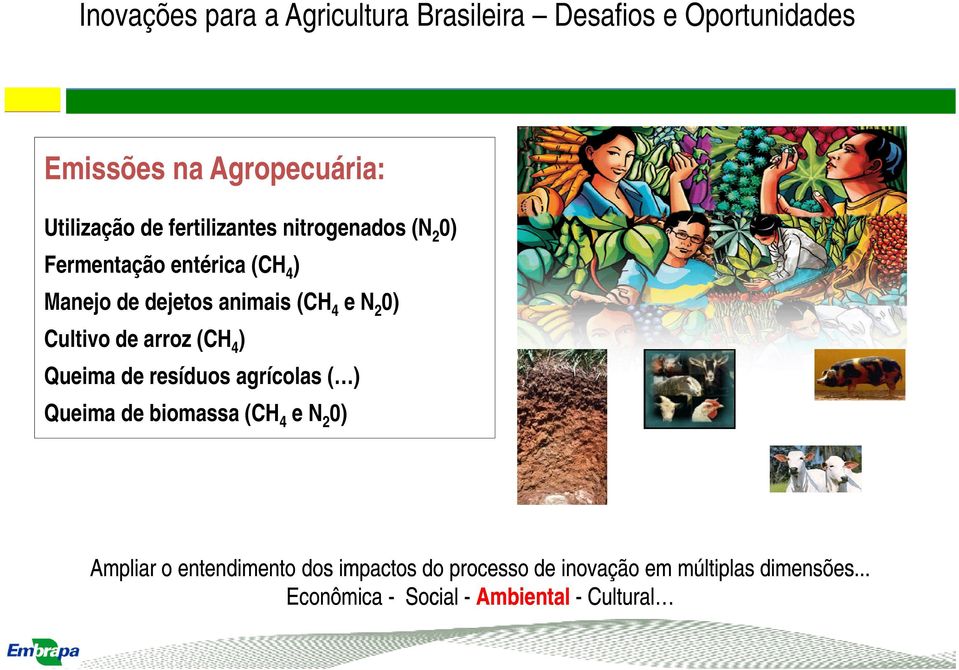 Cultivo de arroz (CH 4 ) Queima de resíduos agrícolas ( ) Queima de biomassa (CH 4 e N 2 0) Ampliar o