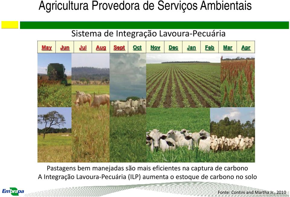 maiseficientes na captura de carbono A Integração Lavoura