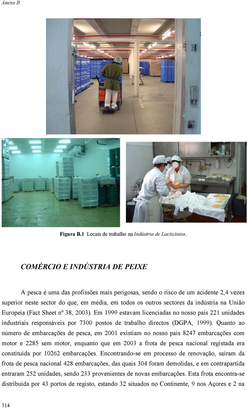 União Europeia (Fact Sheet nº 38, 2003). Em 1999 estavam licenciadas no nosso país 221 unidades industriais responsáveis por 7300 postos de trabalho directos (DGPA, 1999).