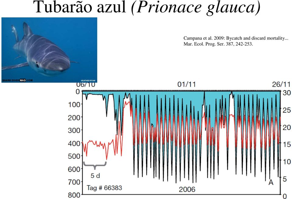 2009: Bycatch and discard