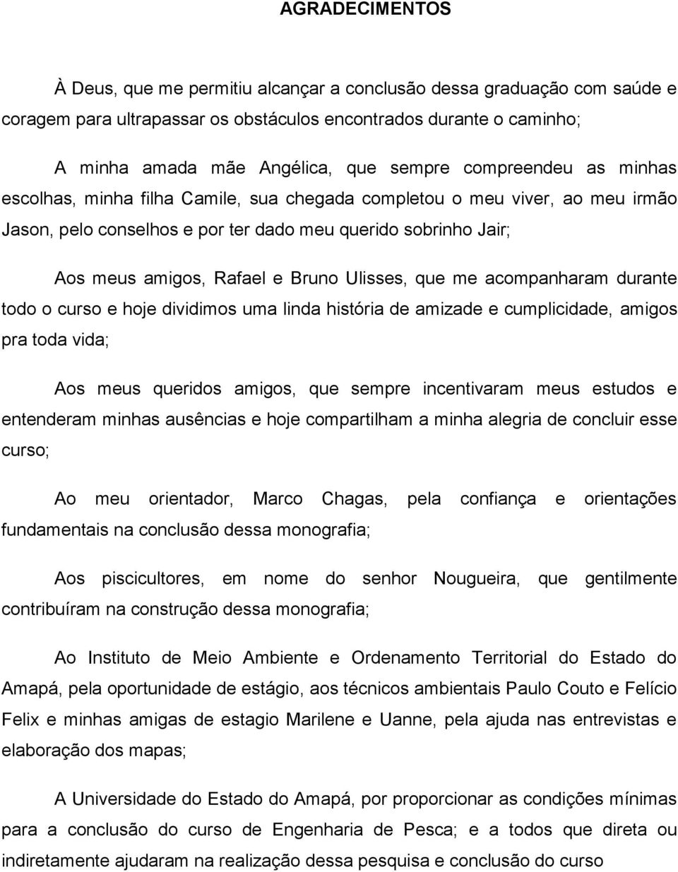 Ulisses, que me acompanharam durante todo o curso e hoje dividimos uma linda história de amizade e cumplicidade, amigos pra toda vida; Aos meus queridos amigos, que sempre incentivaram meus estudos e