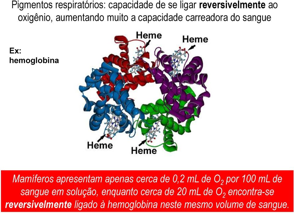 apresentam apenas cerca de 0,2 ml de O 2 por 100 ml de sangue em solução, enquanto