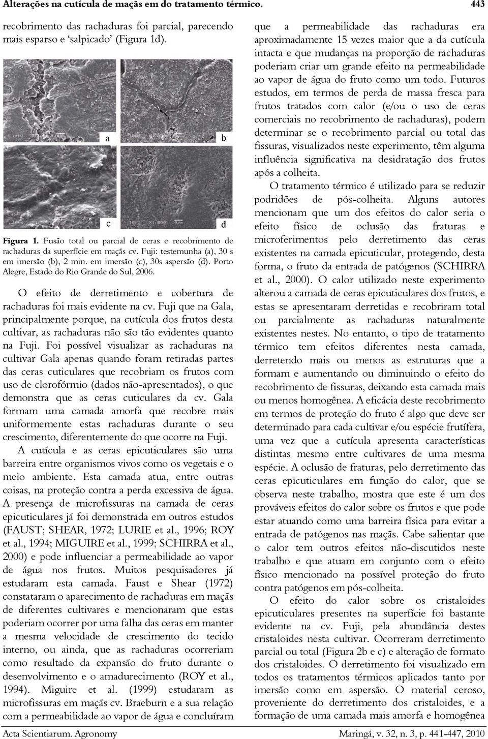 Porto Alegre, Estdo do Rio Grnde do Sul, 2006. O efeito de derretimento e coertur de rchdurs foi mis evidente n cv.