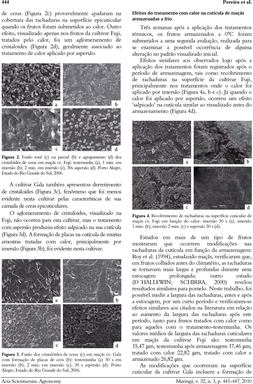 Efeitos do trtmento com clor n cutícul de mçãs rmzends frio Três semns pós plicção dos trtmentos térmicos, os frutos rmzendos 0 C form sumetidos um segund vlição, relizd pr se exminr possível