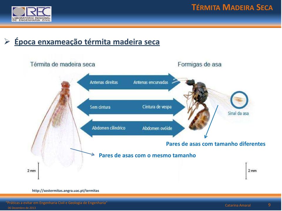 Pares de asas com tamanho diferentes