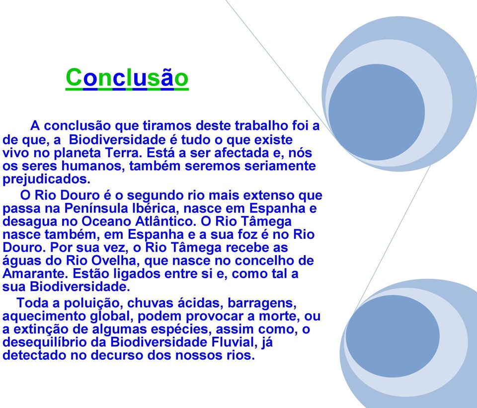 O Rio Douro é o segundo rio mais extenso que passa na Península Ibérica, nasce em Espanha e desagua no Oceano Atlântico. O Rio Tâmega nasce também, em Espanha e a sua foz é no Rio Douro.