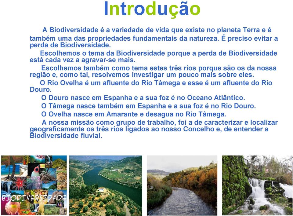 Escolhemos também como tema estes três rios porque são os da nossa região e, como tal, resolvemos investigar um pouco mais sobre eles.