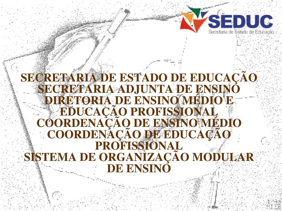 PROFISSIONAL COORDENAÇÃO DE ENSINO MÉDIO COORDENAÇÃO