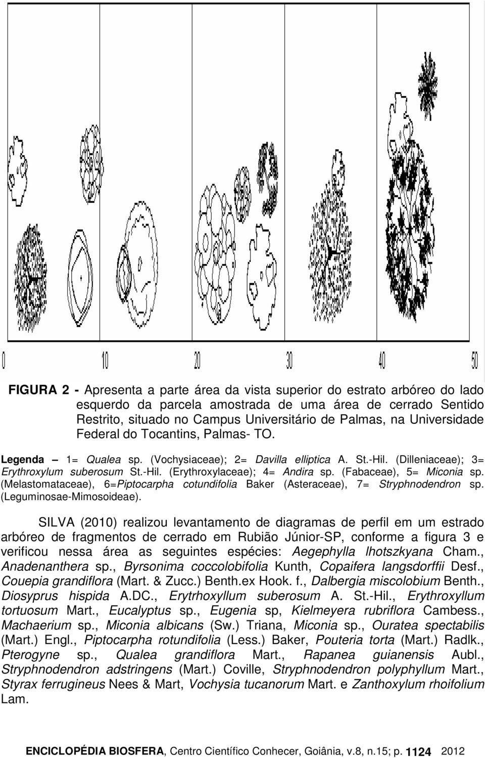 (Fabaceae), 5= Miconia sp. (Melastomataceae), 6=Piptocarpha cotundifolia Baker (Asteraceae), 7= Stryphnodendron sp. (Leguminosae-Mimosoideae).