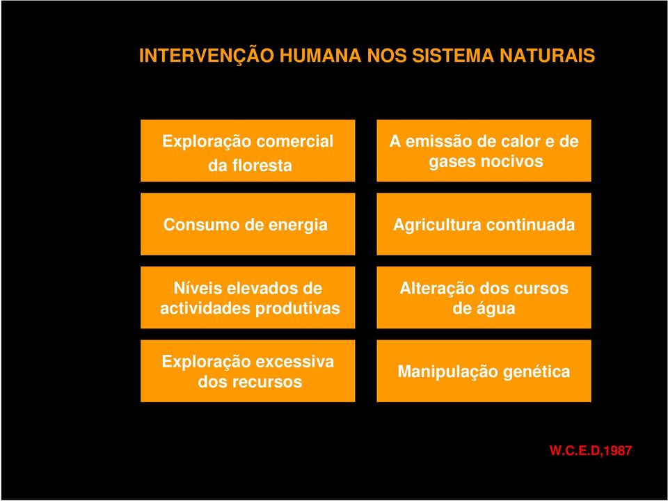 Agricultura continuada Níveis elevados de actividades produtivas