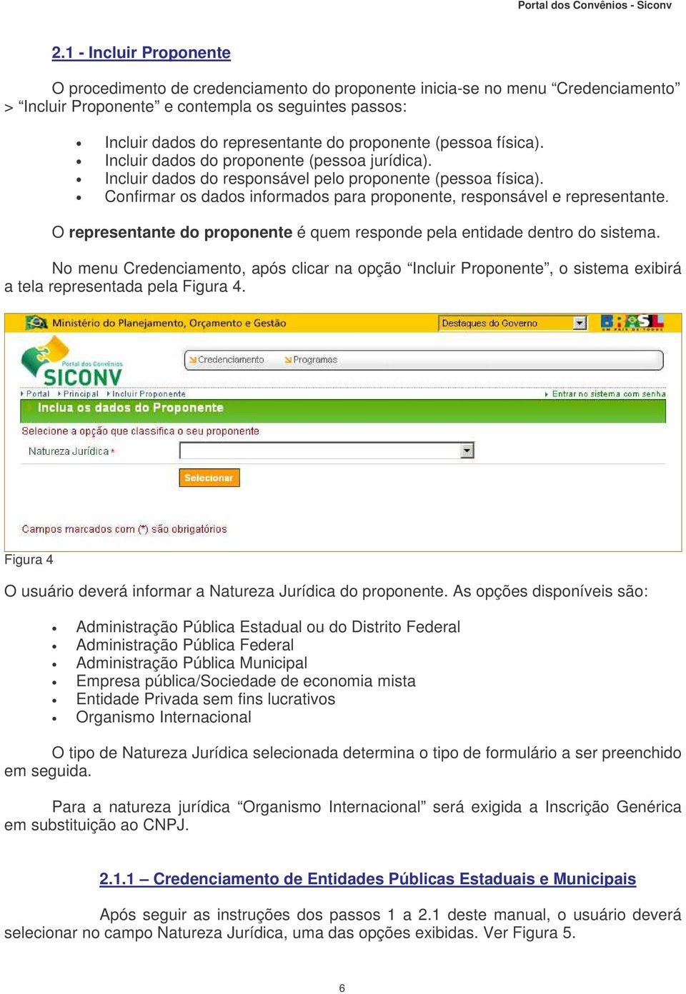 Confirmar os dados informados para proponente, responsável e representante. O representante do proponente é quem responde pela entidade dentro do sistema.