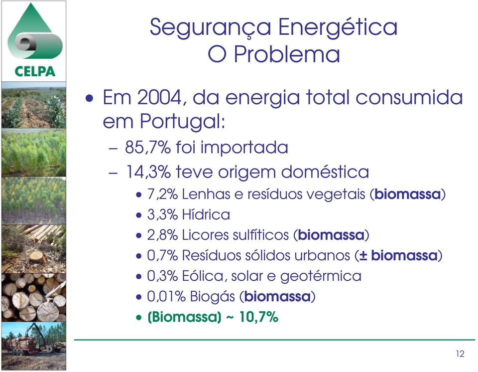 (biomassa) 3,3% Hídrica 2,8% Licores sulfíticos (biomassa) 0,7% Resíduos sólidos