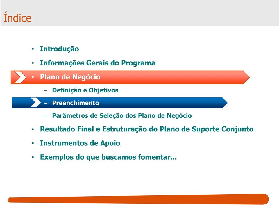 Plano de Negócio Resultado Final e Estruturação do Plano de