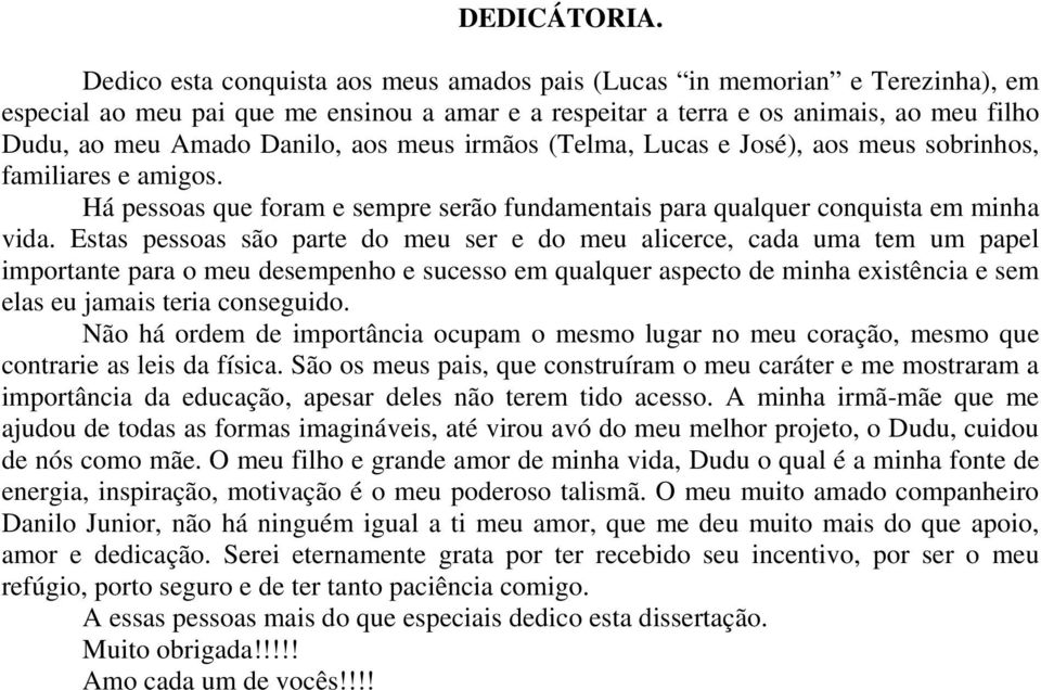 aos meus irmãos (Telma, Lucas e José), aos meus sobrinhos, familiares e amigos. Há pessoas que foram e sempre serão fundamentais para qualquer conquista em minha vida.