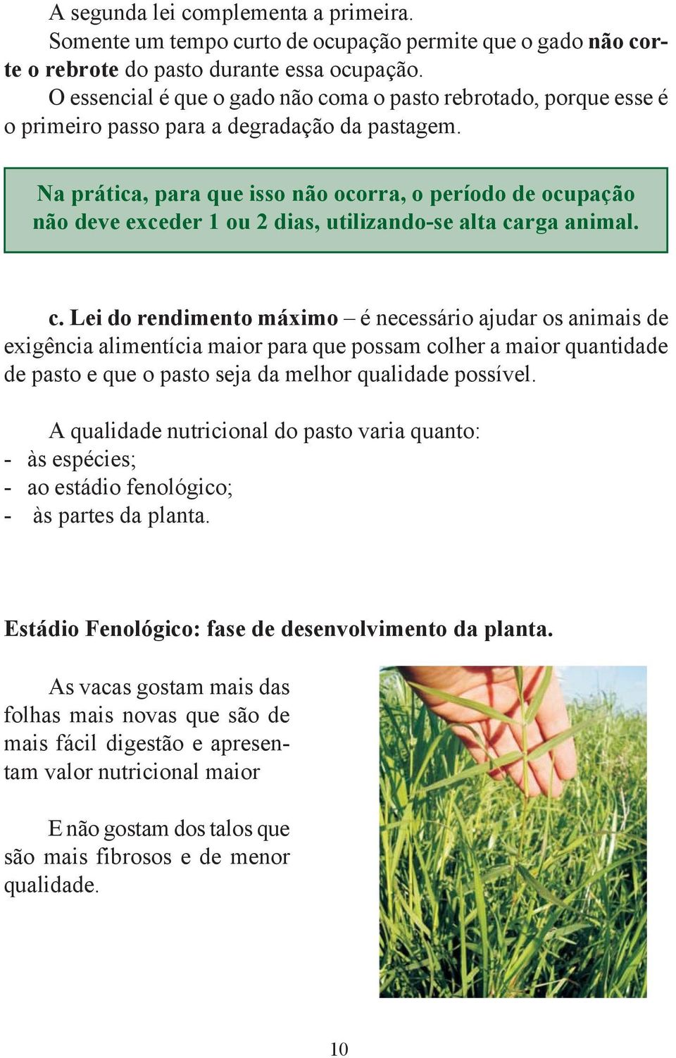 Na prática, para que isso não ocorra, o período de ocupação não deve exceder 1 ou 2 dias, utilizando-se alta ca