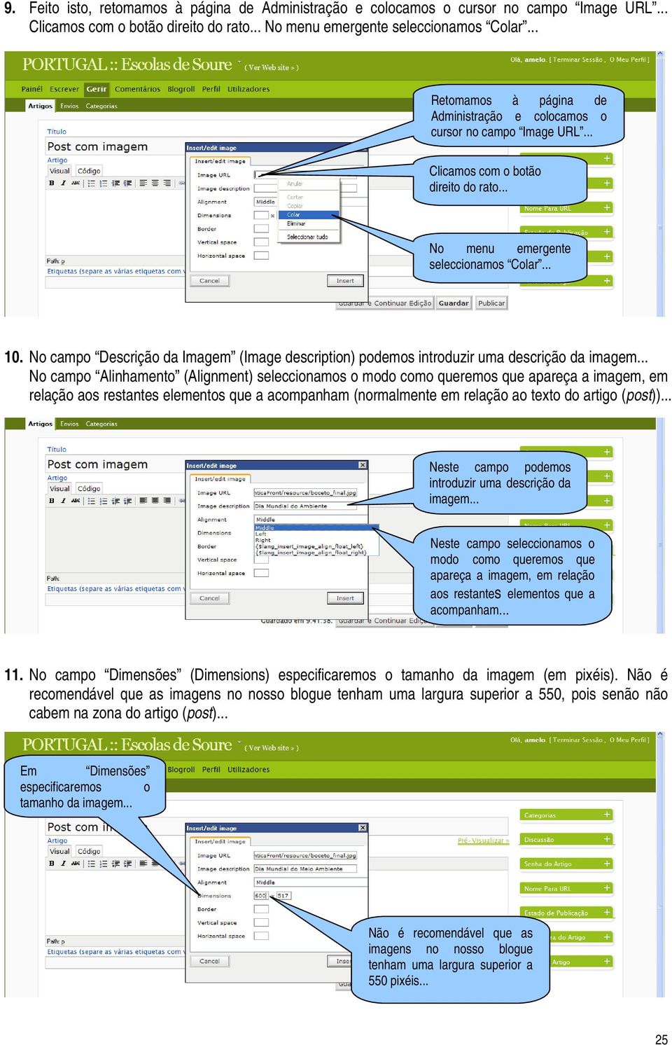 No campo Descrição da Imagem (Image description) podemos introduzir uma descrição da imagem.