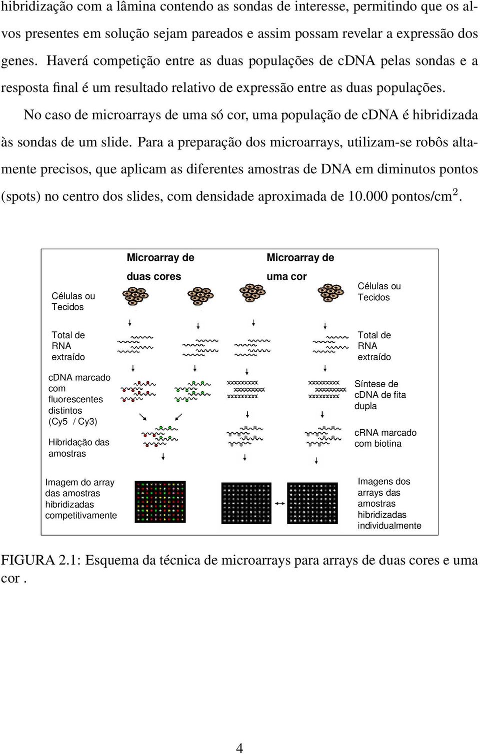 No caso de microarrays de uma só cor, uma população de cdna é hibridizada às sondas de um slide.