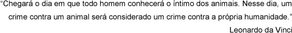 Nesse dia, um crime contra um animal será