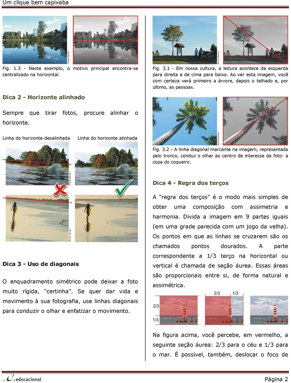 Linha do horizonte desalinhada Linha do horizonte alinhada Fig. 3.2 - A linha diagonal marcante na imagem, representada pelo tronco, conduz o olhar ao centro de interesse da foto: a copa do coqueiro.