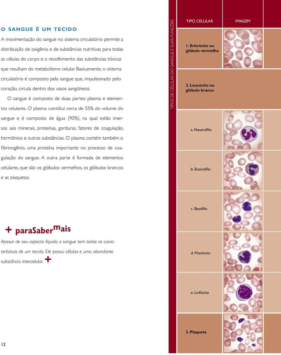 O sangue é composto de duas partes: plasma e elementos celulares. O plasma constitui cerca de 55% do volume do TIPOS DE CÉLULAS DO SANGUE E SUAS FUNÇÕES TIPO CELULAR 1.