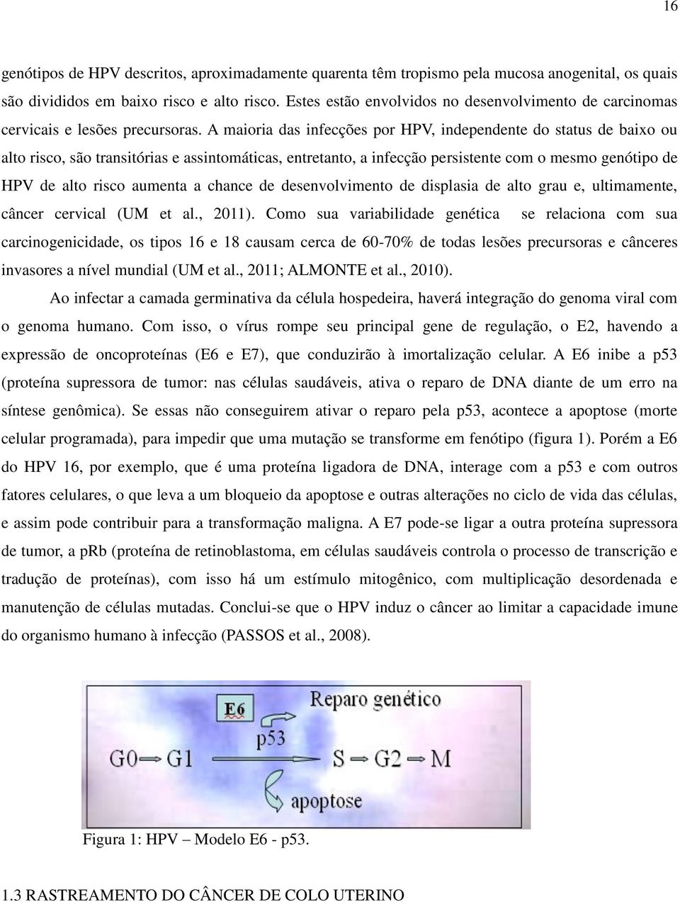 A maioria das infecções por HPV, independente do status de baixo ou alto risco, são transitórias e assintomáticas, entretanto, a infecção persistente com o mesmo genótipo de HPV de alto risco aumenta