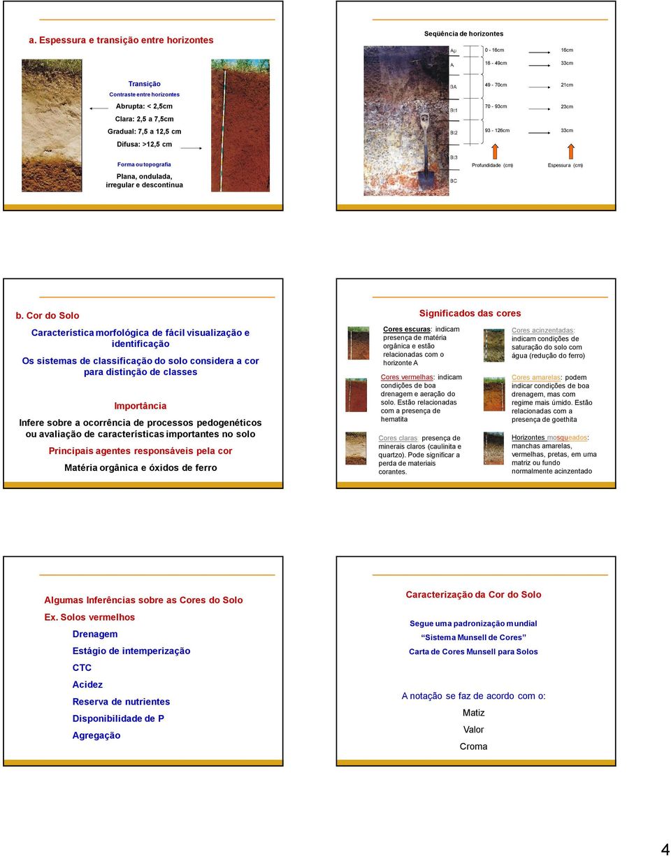 Cor do Solo Característica morfológica de fácil visualização e identificação Os sistemas de classificação do solo considera a cor para distinção de classes Importância Infere sobre a ocorrência de