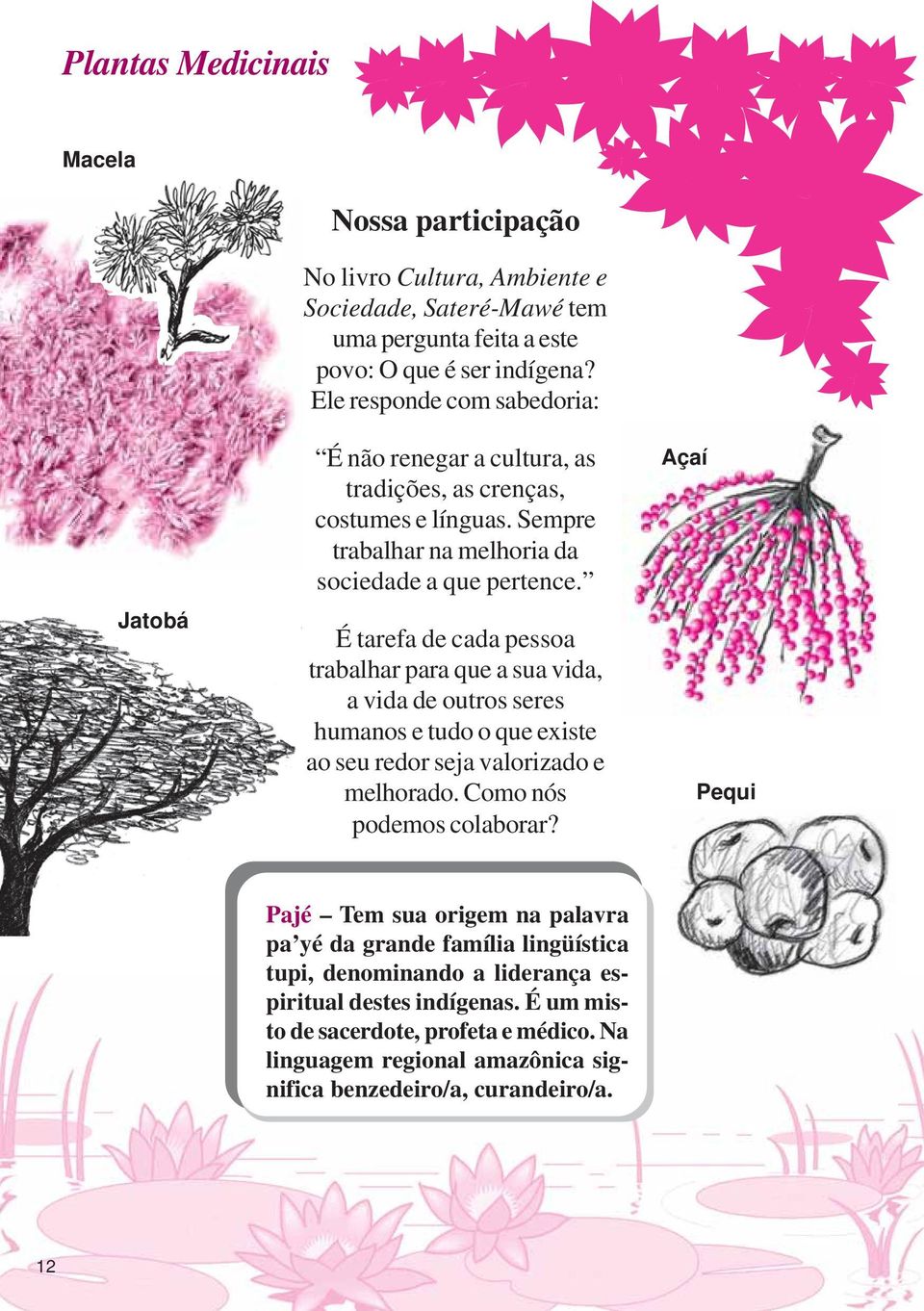 É tarefa de cada pessoa trabalhar para que a sua vida, a vida de outros seres humanos e tudo o que existe ao seu redor seja valorizado e melhorado. Como nós podemos colaborar?