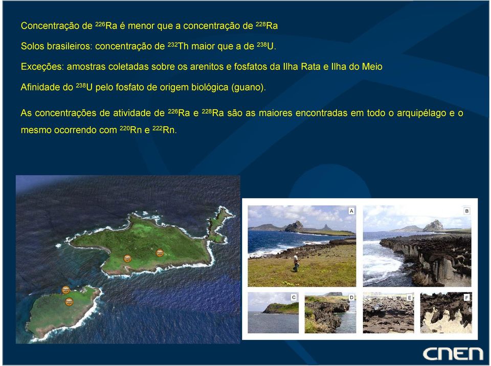 Exceções: amostras coletadas sobre os arenitos e fosfatos da Ilha Rata e Ilha do Meio Afinidade do 238
