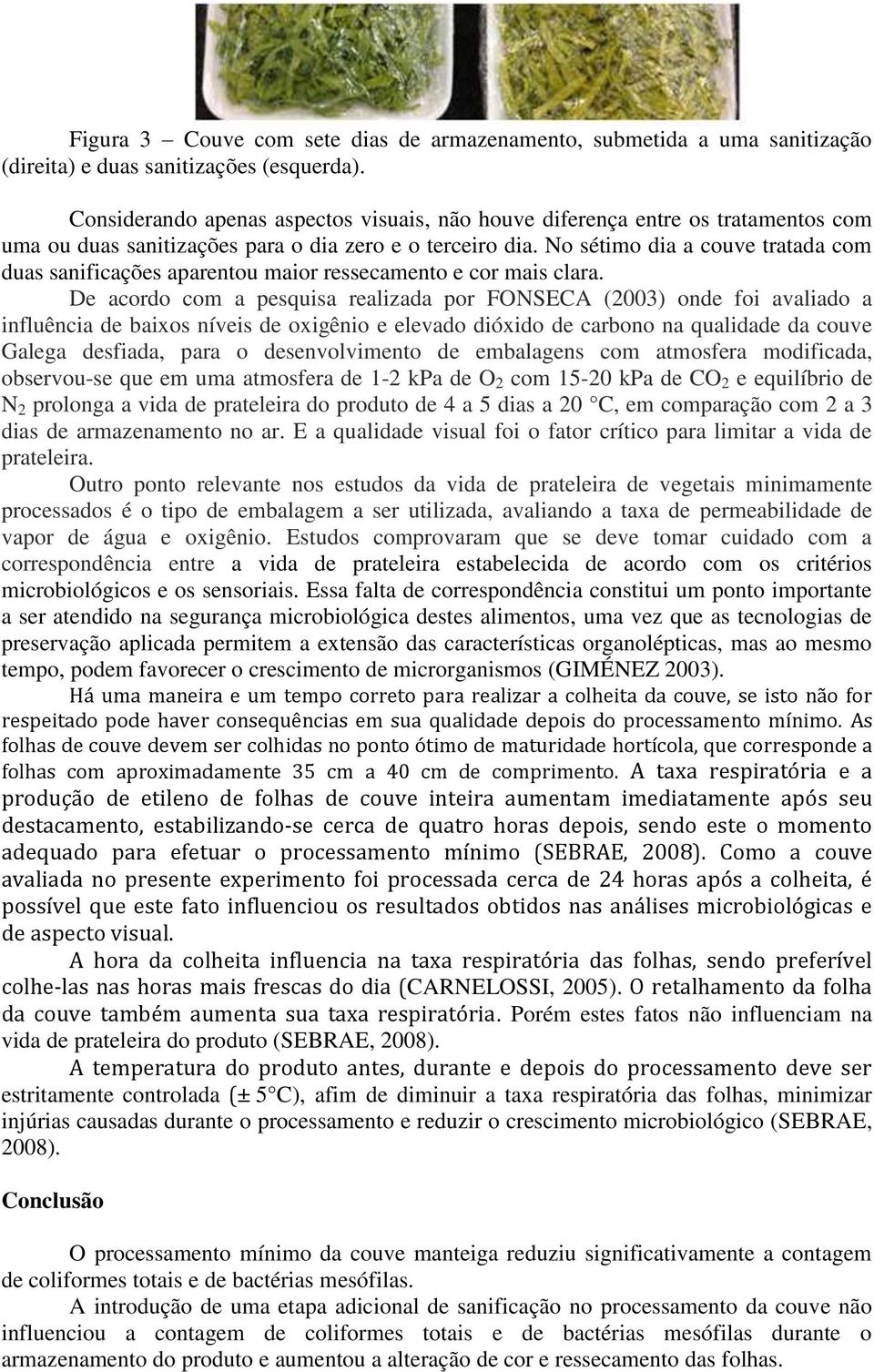 No sétimo dia a couve tratada com duas sanificações aparentou maior ressecamento e cor mais clara.