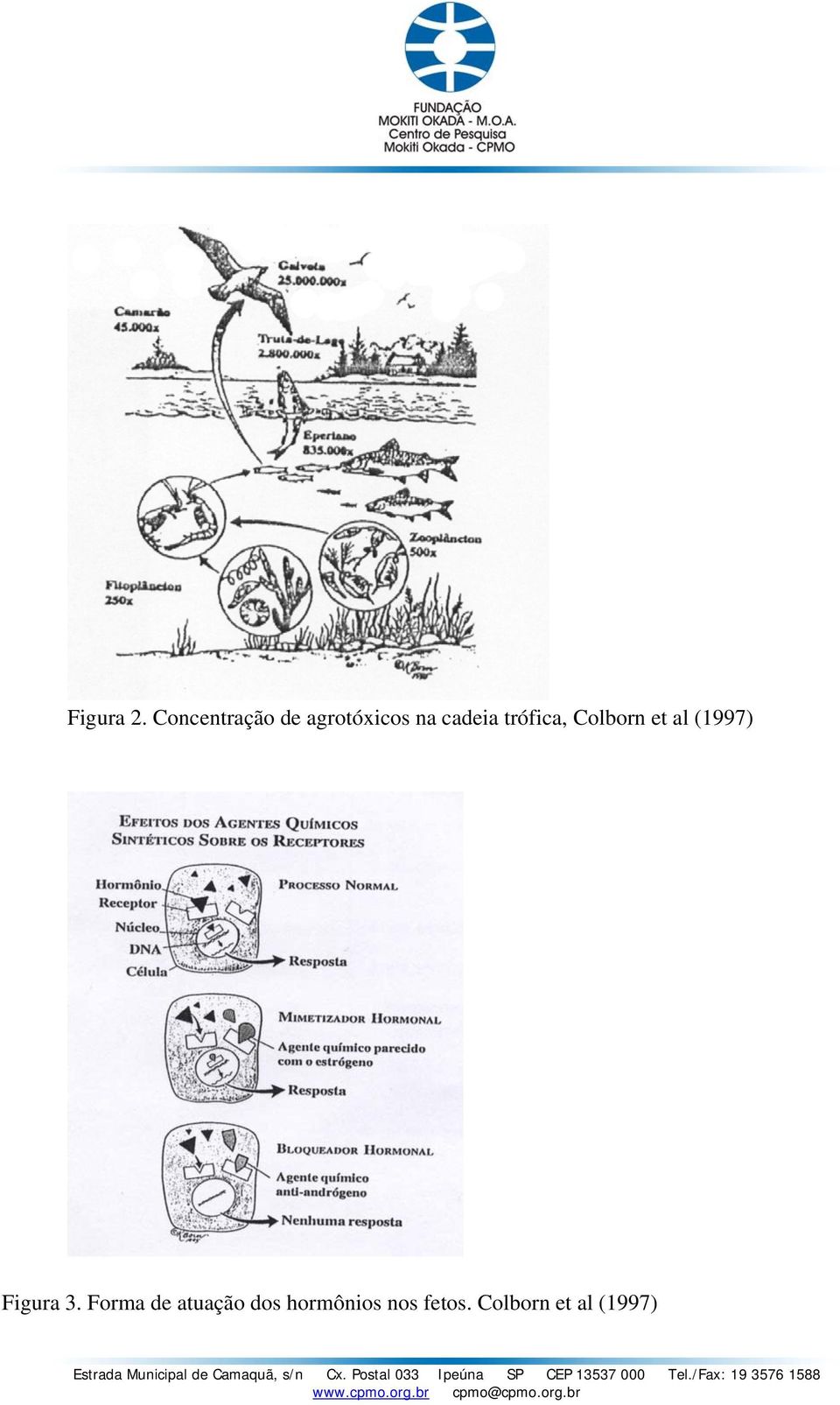 trófica, Colborn et al (1997) Figura