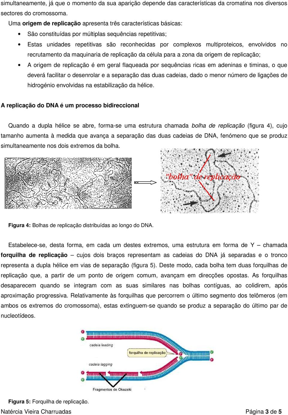 envolvidos no recrutamento da maquinaria de replicação da célula para a zona da origem de replicação; A origem de replicação é em geral flaqueada por sequências ricas em adeninas e timinas, o que