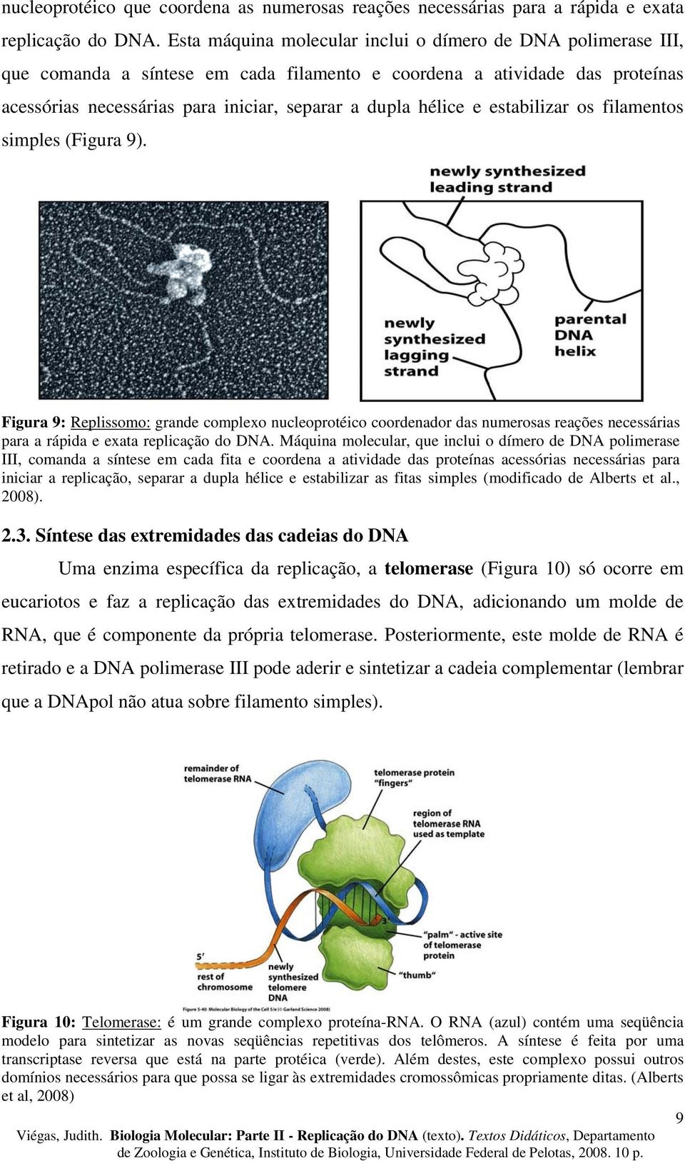 e estabilizar os filamentos simples (Figura 9). Figura 9: Replissomo: grande complexo nucleoprotéico coordenador das numerosas reações necessárias para a rápida e exata replicação do DNA.