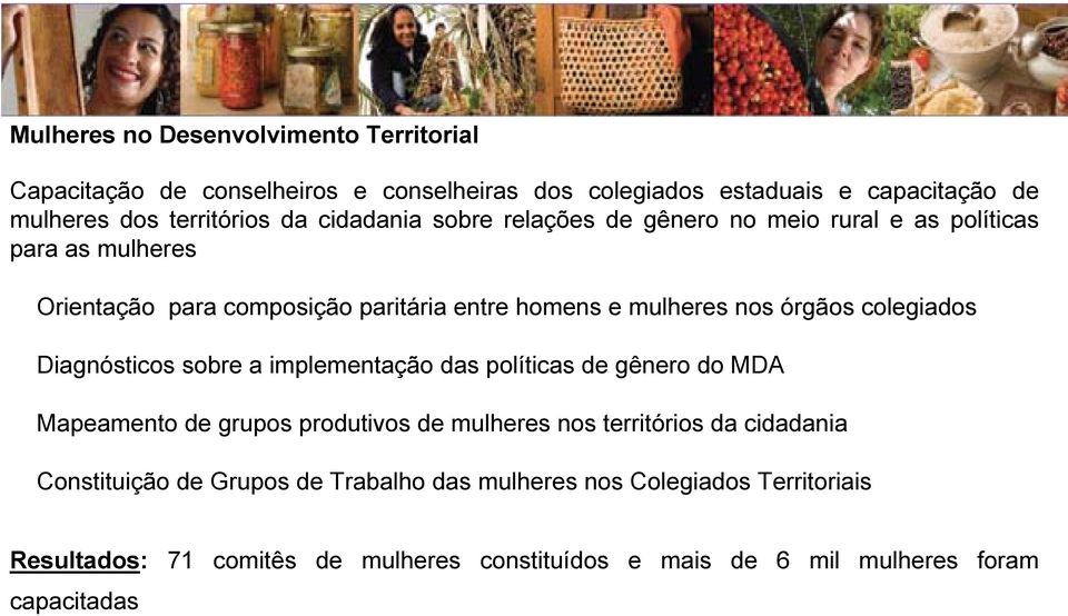 colegiados Diagnósticos sobre a implementação das políticas de gênero do MDA Mapeamento de grupos produtivos de mulheres nos territórios da cidadania