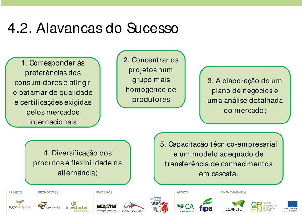 mercados internacionais 2. Concentrar os projetos num grupo mais homogéneo de produtores 3.