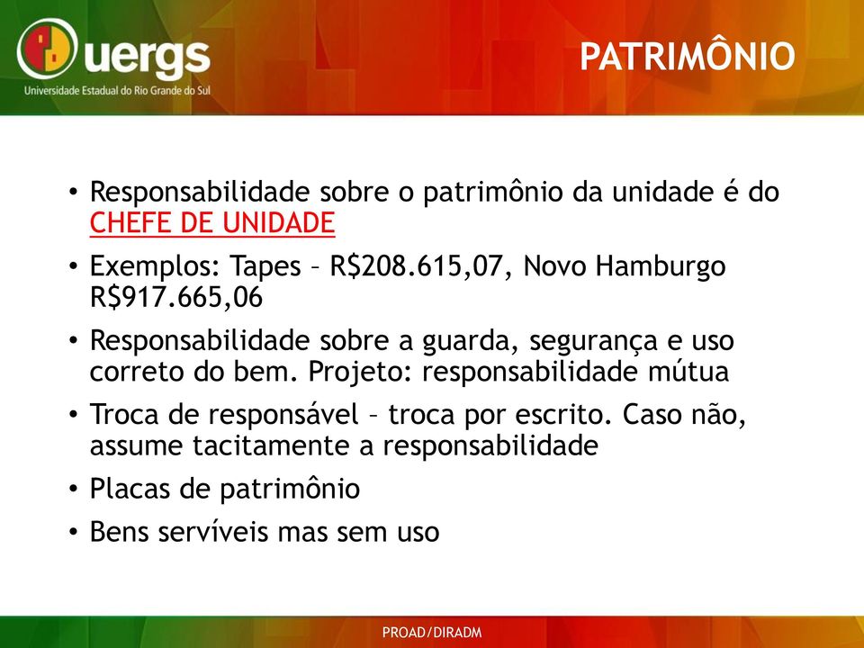 665,06 Responsabilidade sobre a guarda, segurança e uso correto do bem.