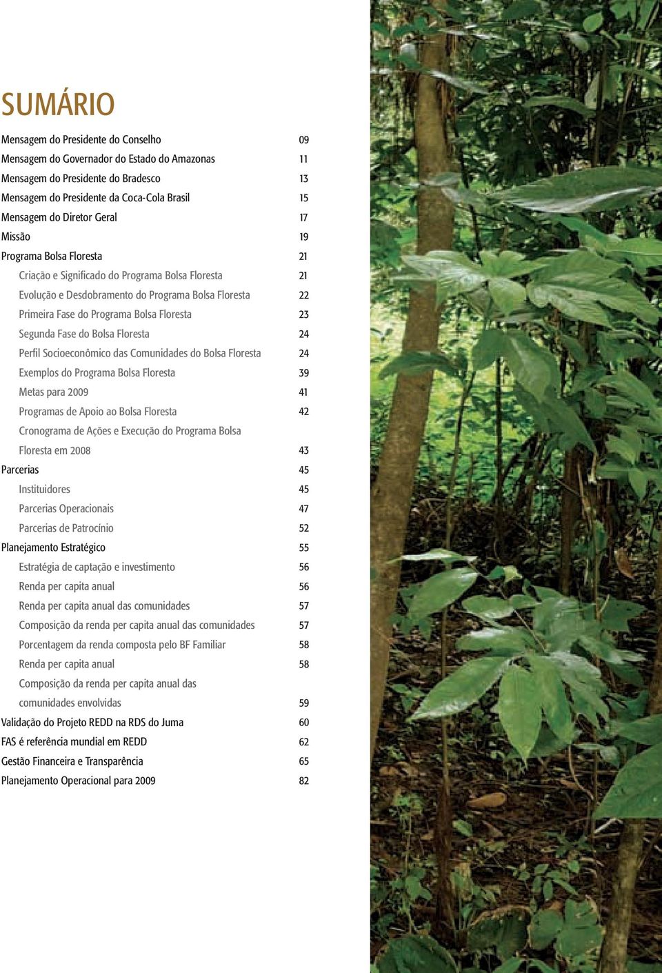 Perfil Socioeconômico das Comunidades do Bolsa Floresta Exemplos do Programa Bolsa Floresta Metas para 2009 Programas de Apoio ao Bolsa Floresta Cronograma de Ações e Execução do Programa Bolsa