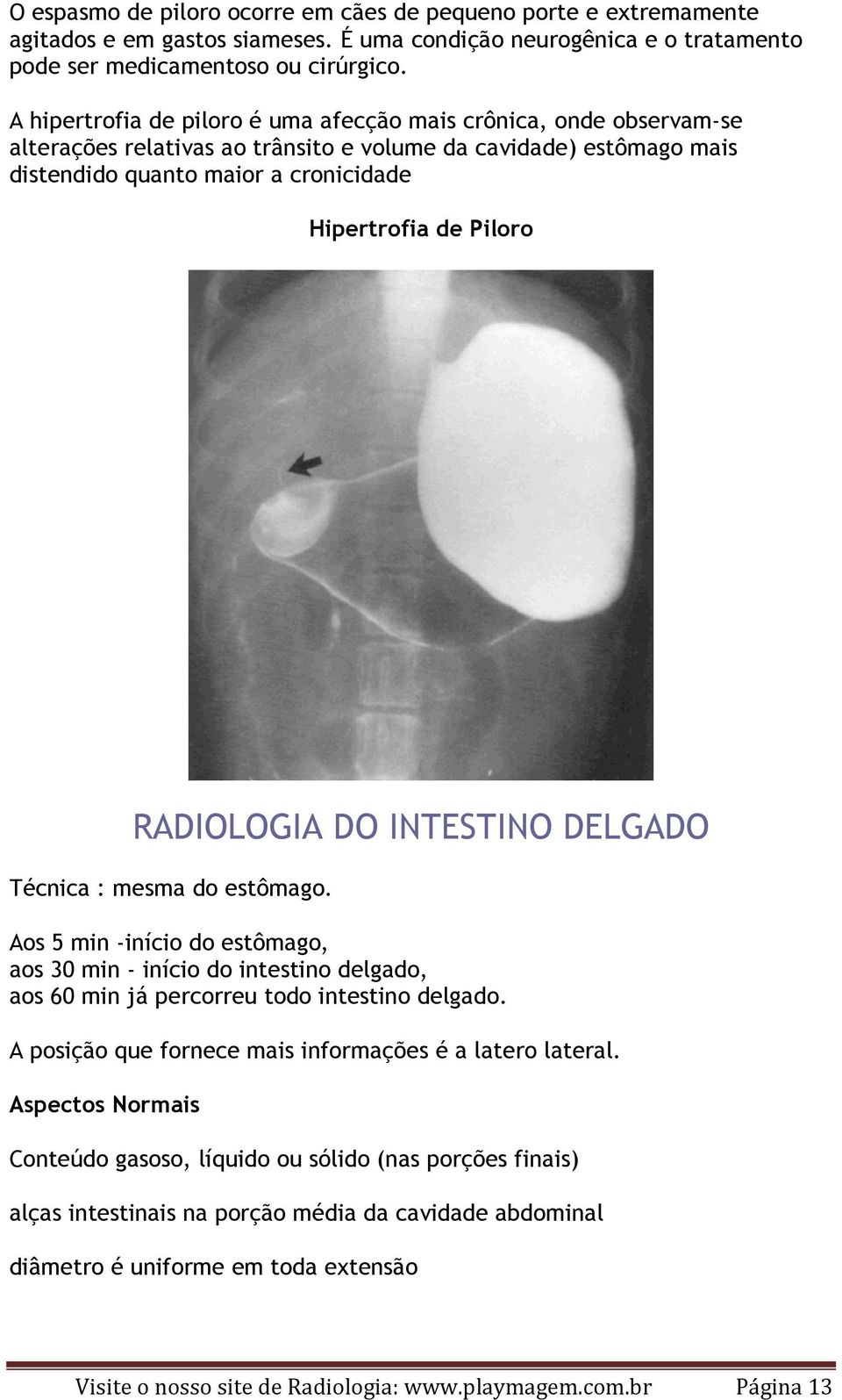 RADIOLOGIA DO INTESTINO DELGADO Técnica : mesma do estômago. Aos 5 min -início do estômago, aos 30 min - início do intestino delgado, aos 60 min já percorreu todo intestino delgado.