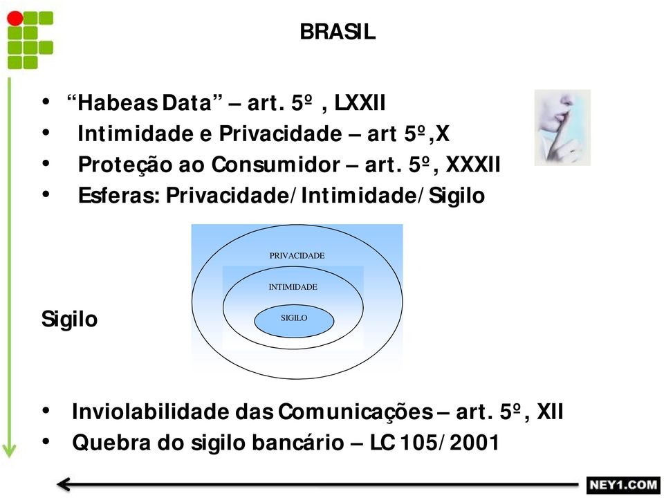 art. 5º, XXXII Esferas: Privacidade/Intimidade/Sigilo PRIVACIDADE