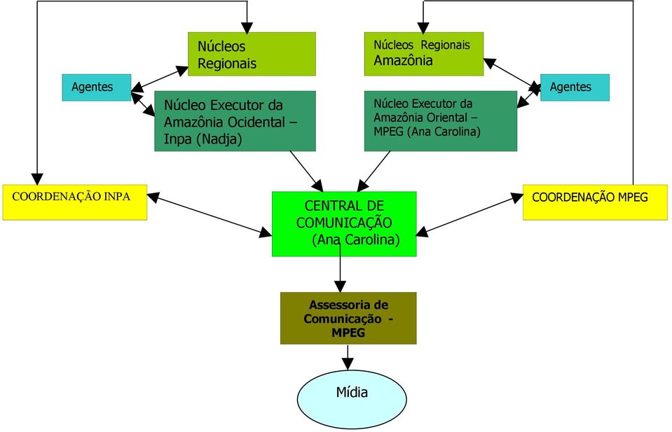 Núcleo Executor da Amazônia Oriental MPEG (Ana Carolina) CENTRAL DE