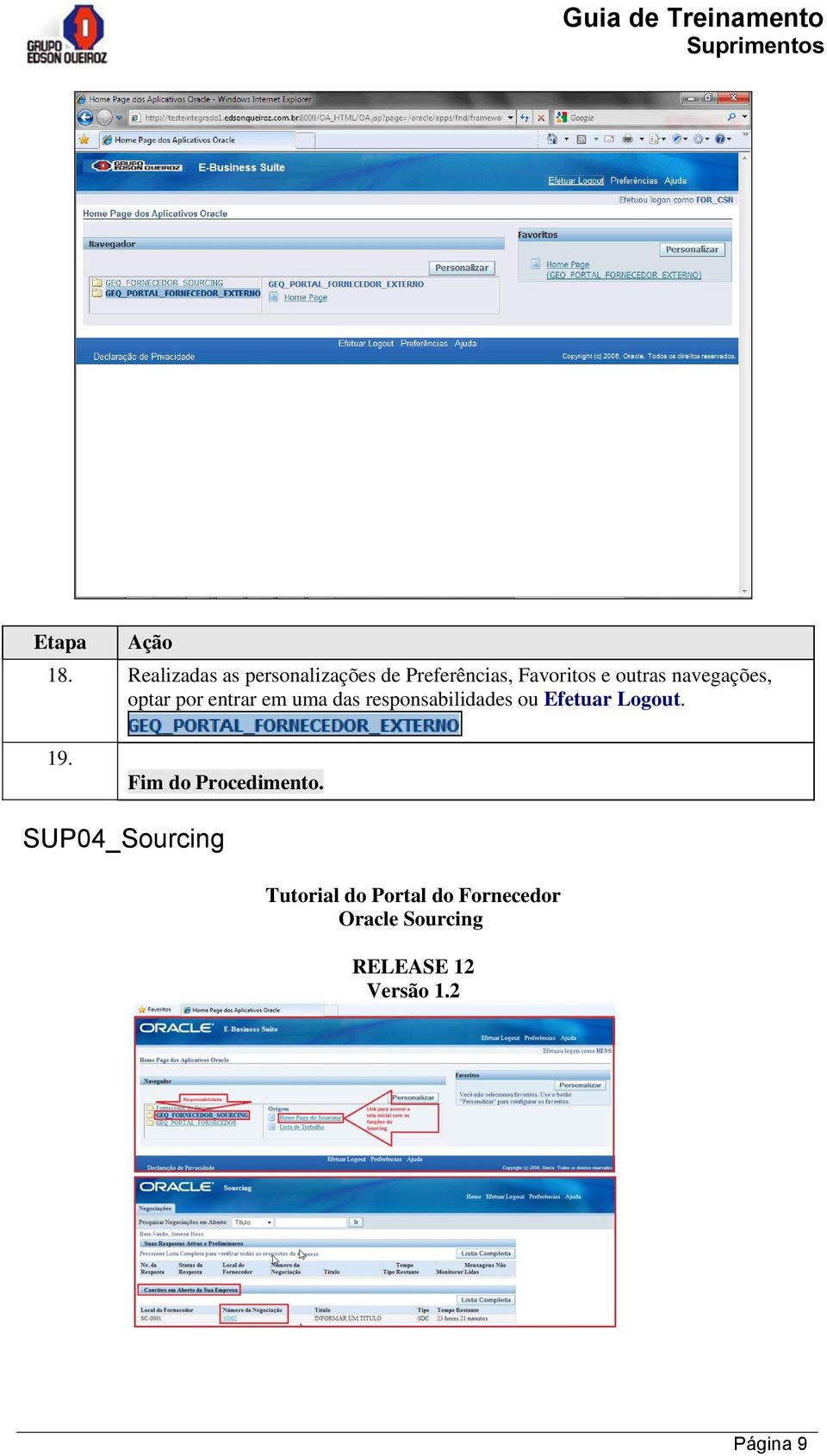 ou Efetuar Logout. 19. Fim do Procedimento.