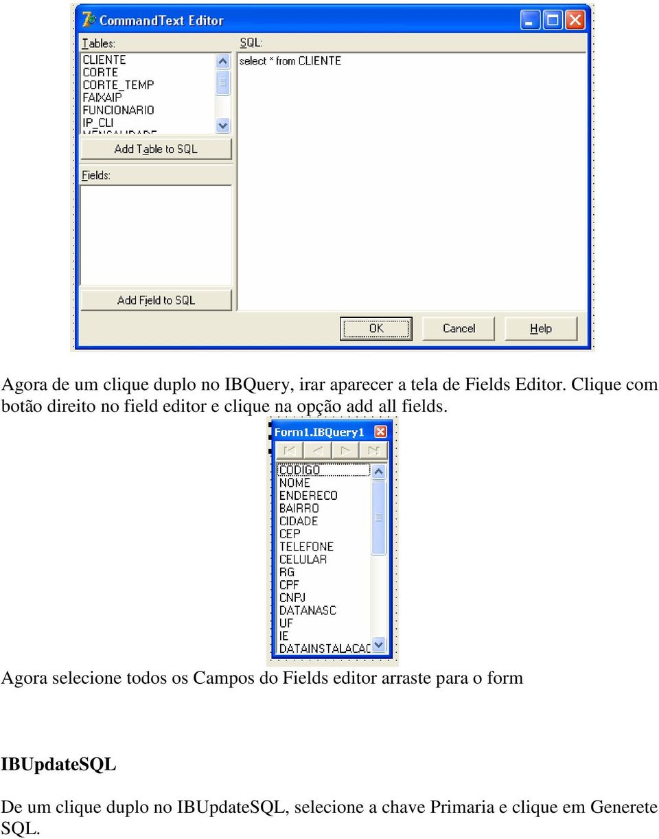 Agora selecione todos os Campos do Fields editor arraste para o form