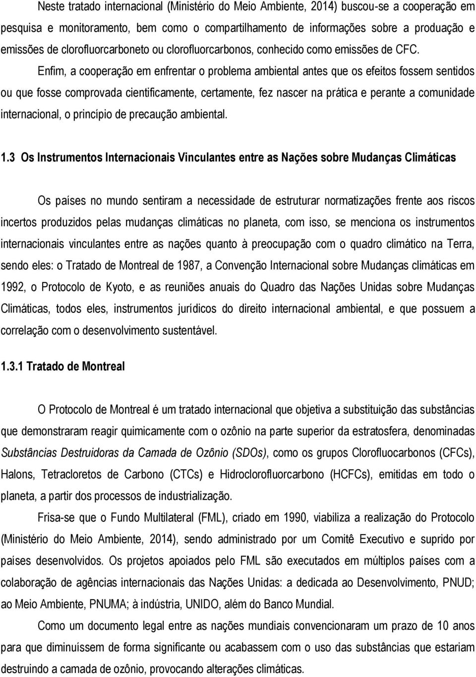 Enfim, a cooperação em enfrentar o problema ambiental antes que os efeitos fossem sentidos ou que fosse comprovada cientificamente, certamente, fez nascer na prática e perante a comunidade