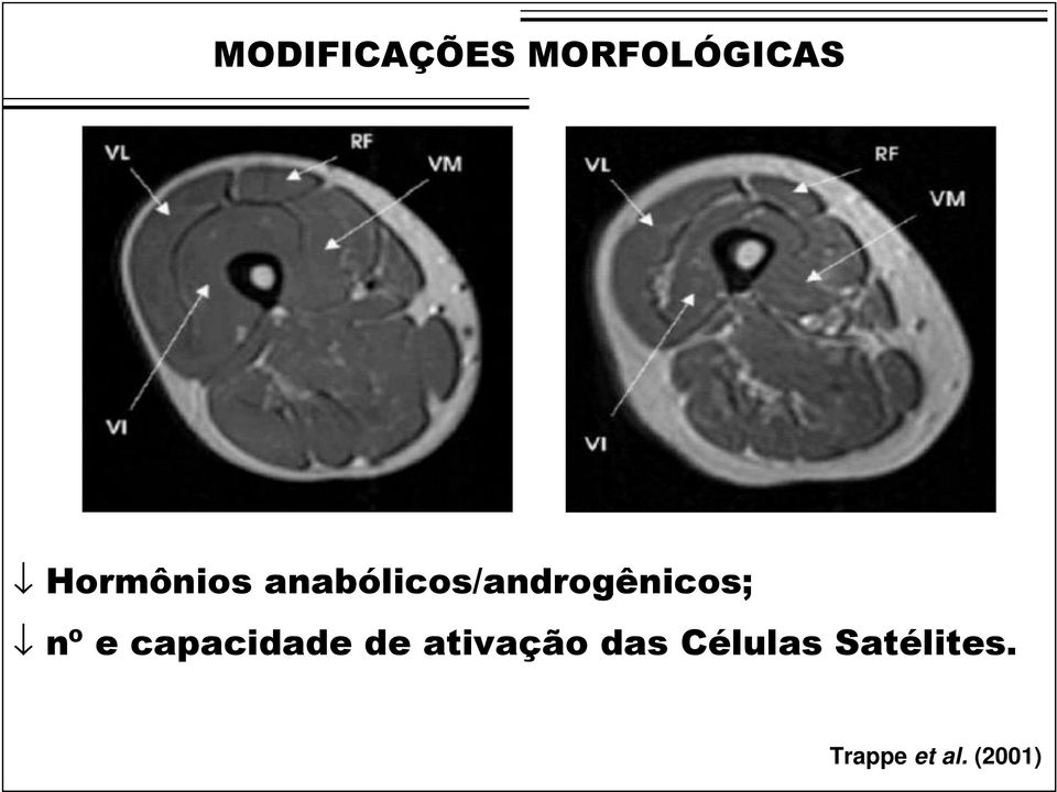 anabólicos/androgênicos; nº e