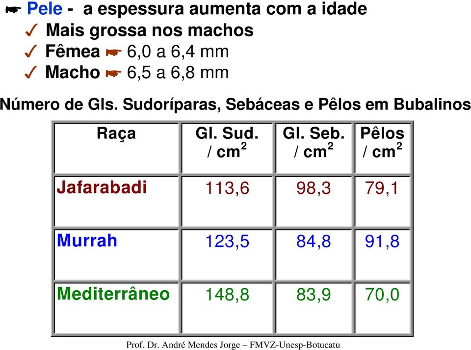 Sudoríparas, Sebá