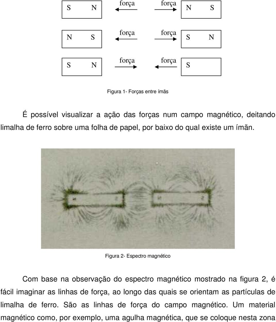 Figura 2- Espectro magnético Com base na observação do espectro magnético mostrado na figura 2, é fácil imaginar as linhas de força, ao