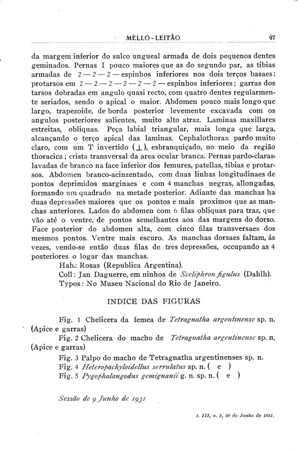 angulo quasi recto, com quatro dentes regularmente seriados, sendo o apical o maior.