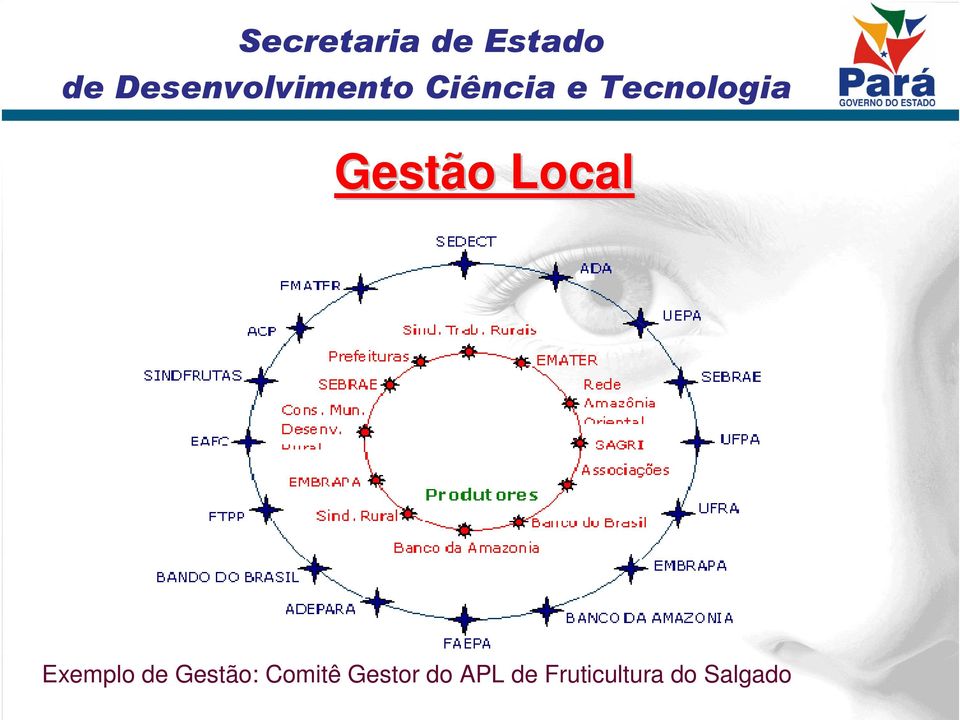 Comitê Gestor do