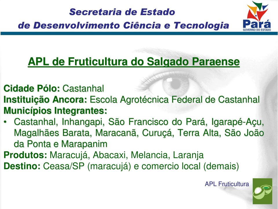 Pará,, Igarapé-Açu, Magalhães Barata, Maracanã, Curuçá çá,, Terra Alta, São João da Ponta e Marapanim