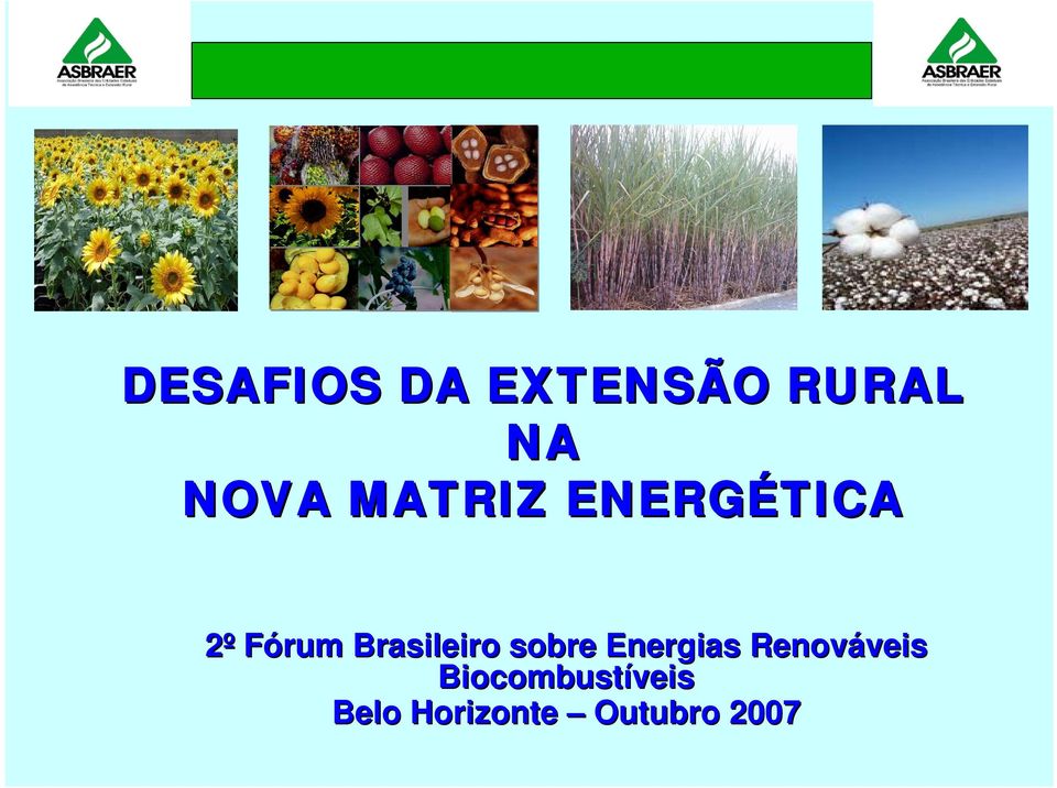 Brasileiro sobre Energias Renováveis
